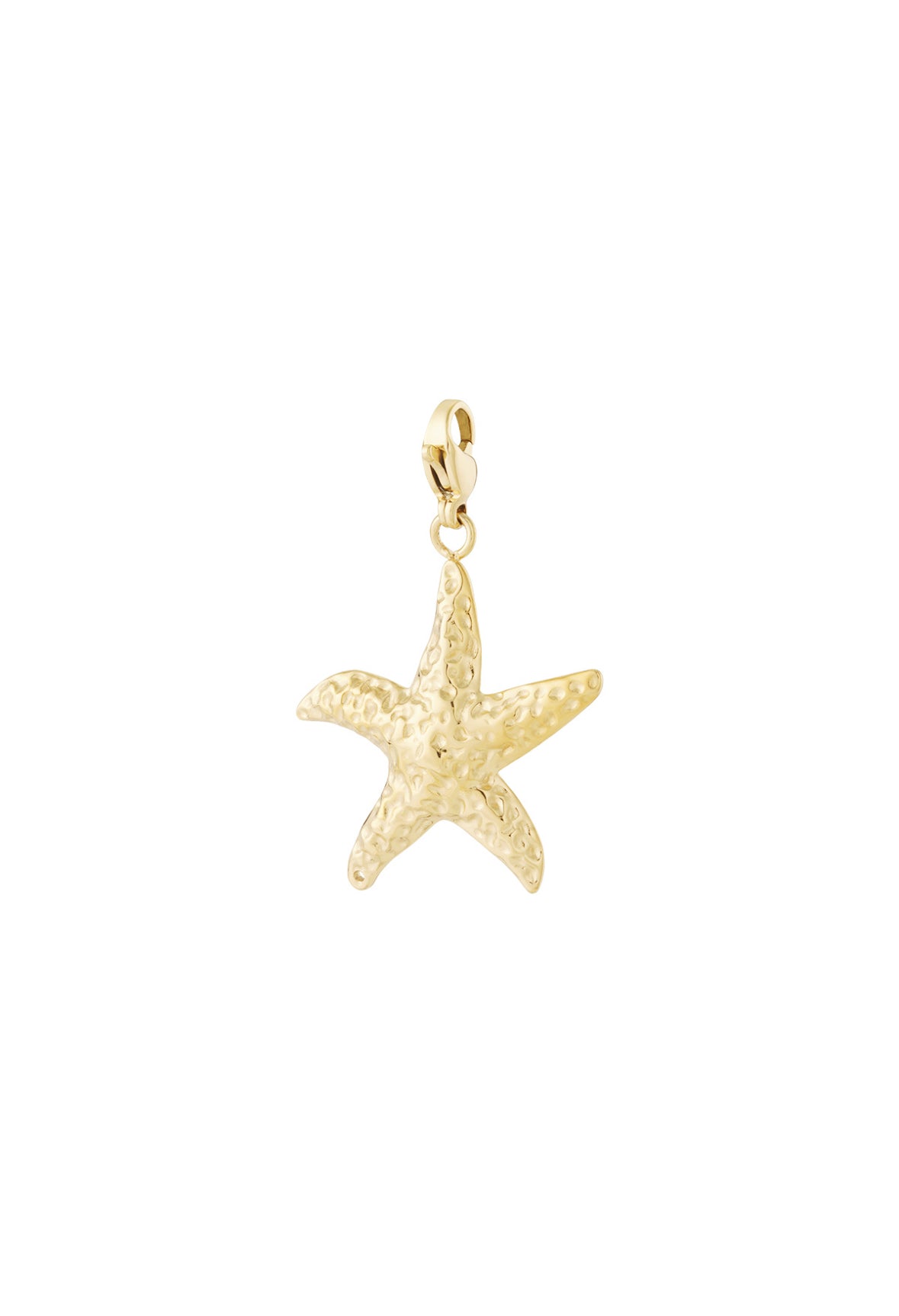 Zeester sieraden bedel