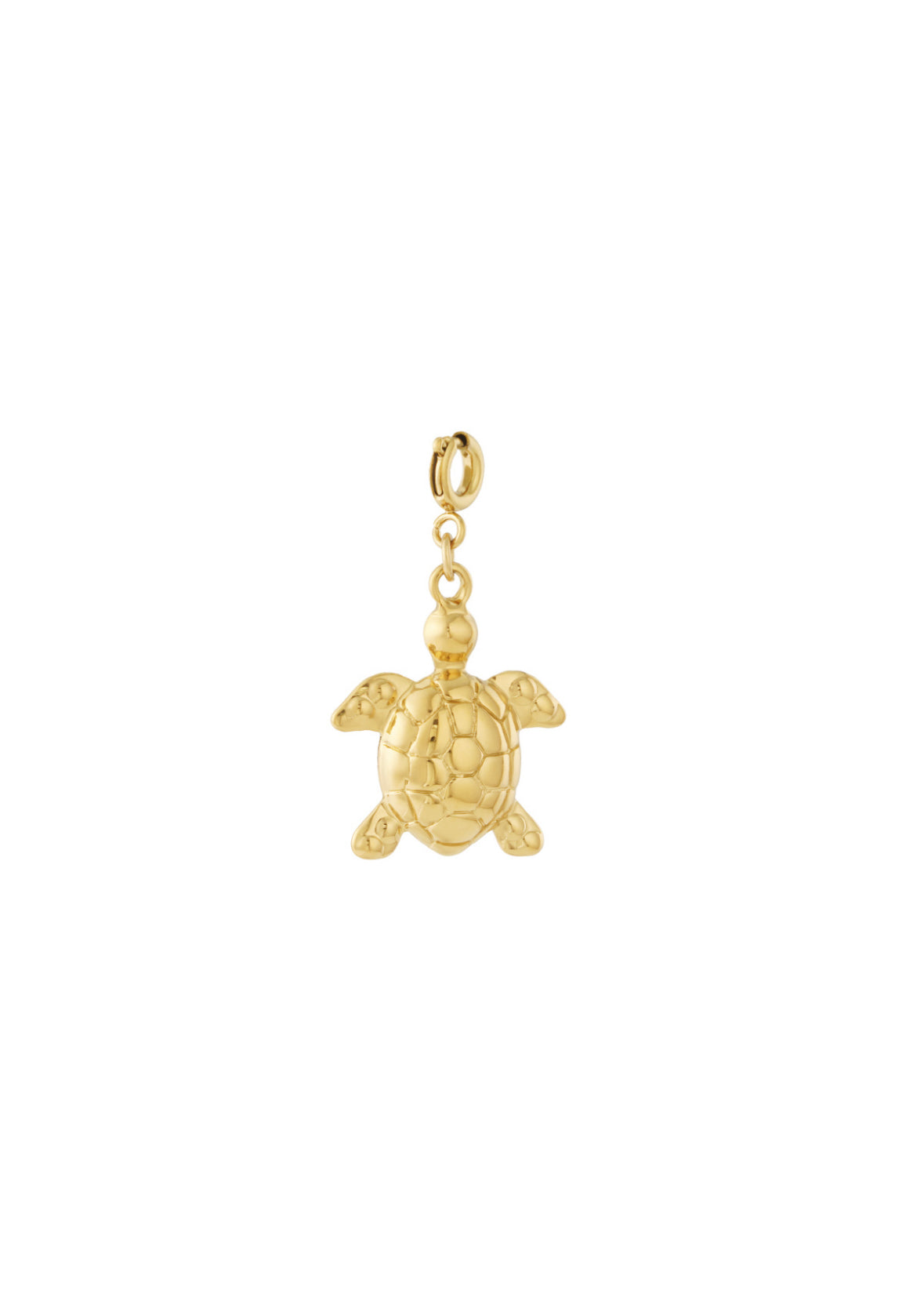 Schildpad sieraden bedel