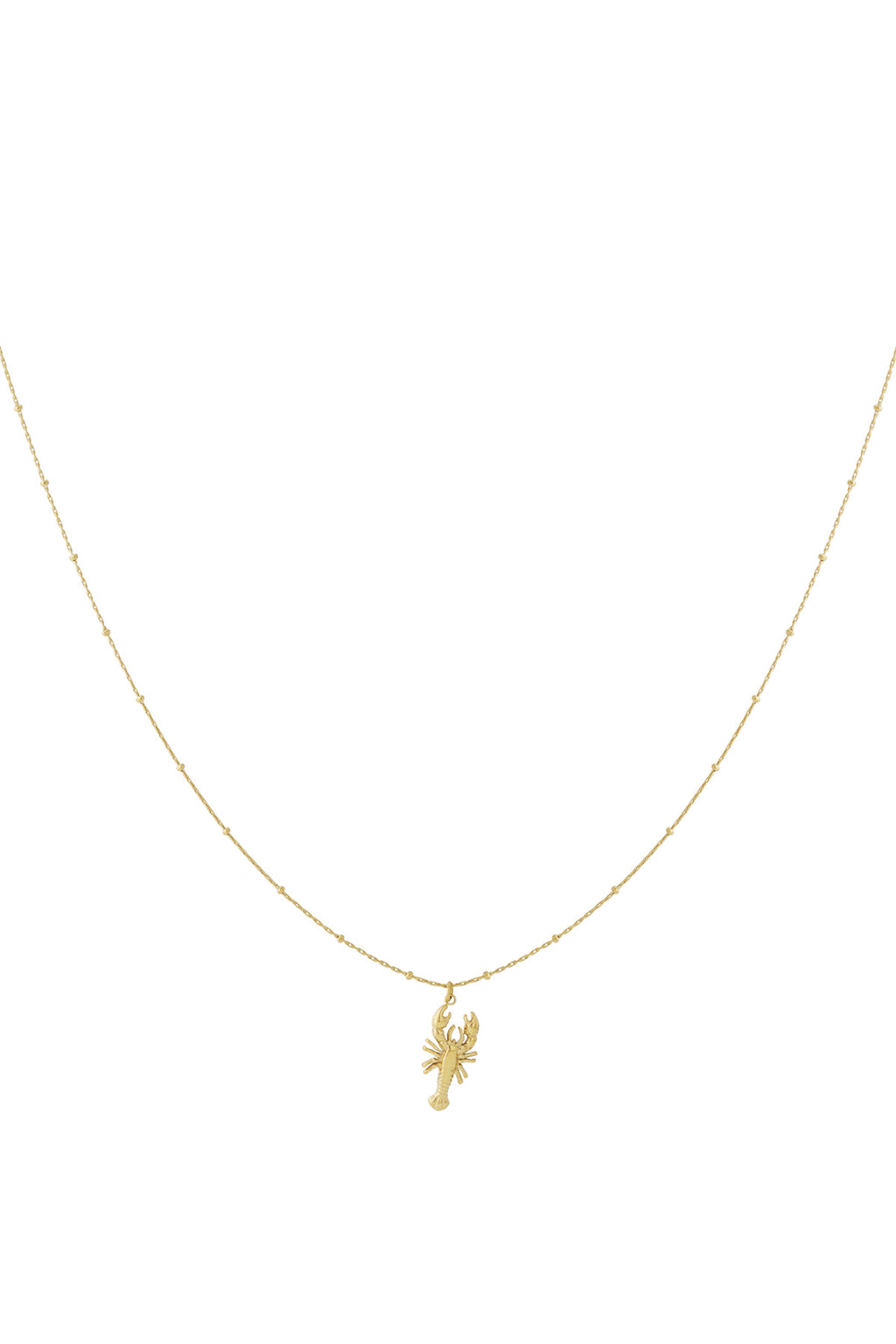   Hangerkettingen Animal Casual Daily Simple Series Damessieraden