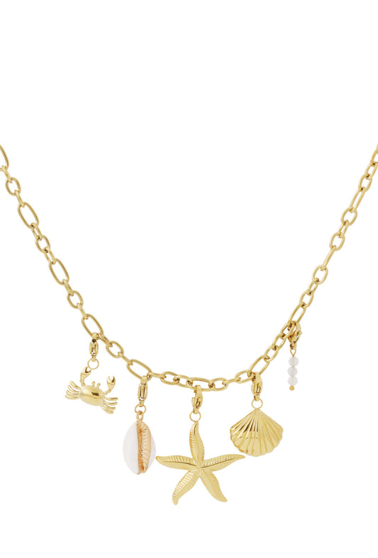 Coastal chic ketting