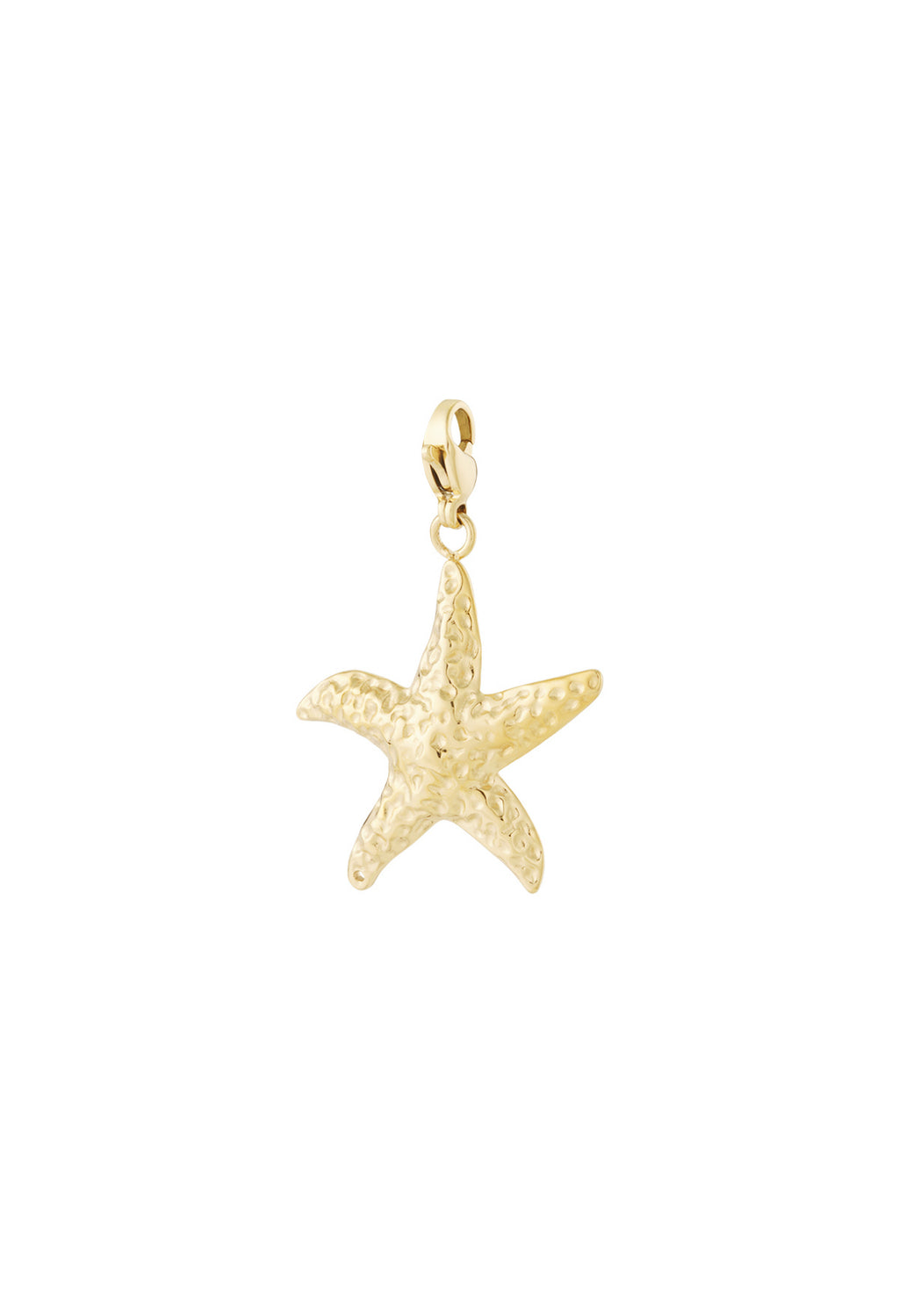 Zeester sieraden bedel