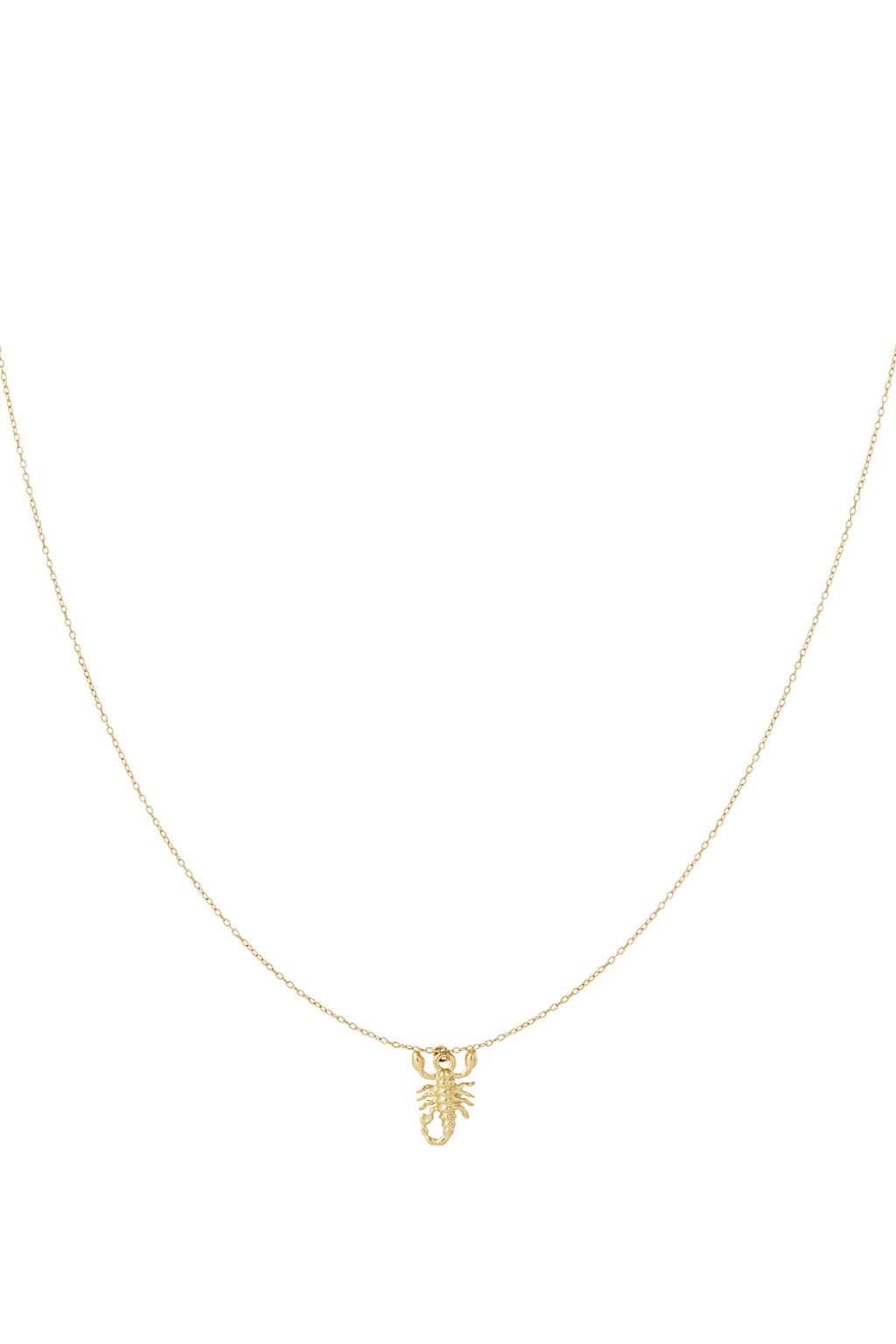 Scorpio Spirit ketting