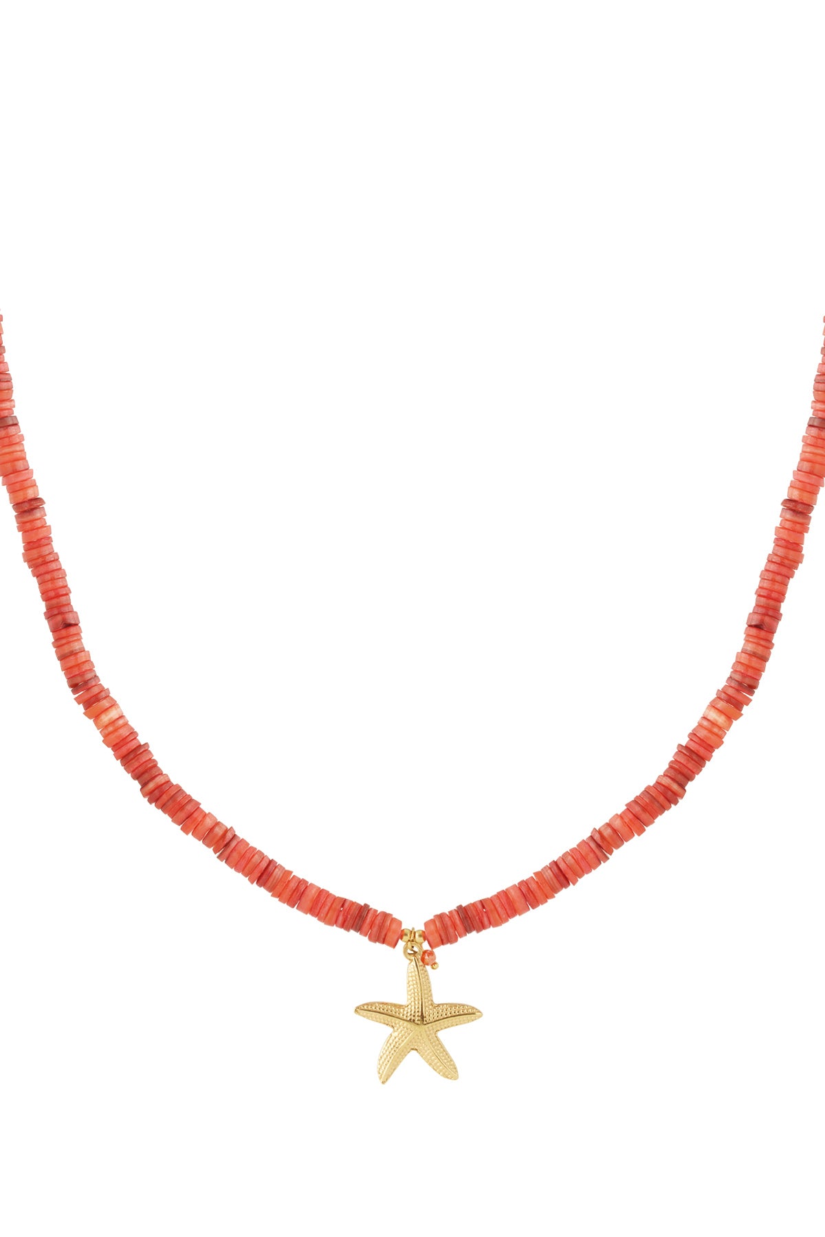 Grote zeester ketting